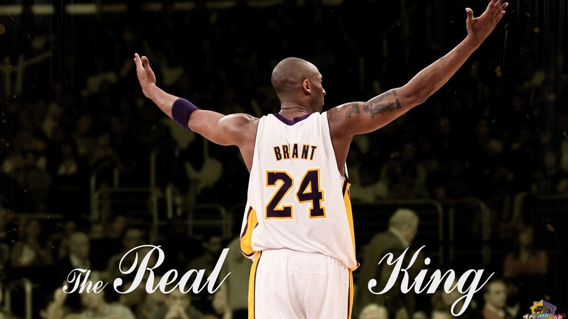 “费尔南多·比亚尔巴在阿根廷美洲狮队中的决定性角色”